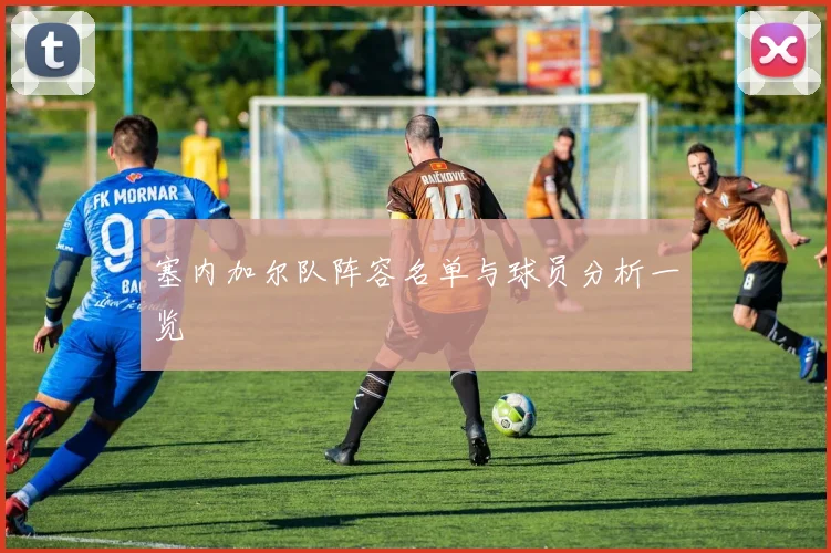 塞内加尔队阵容名单与球员分析一览