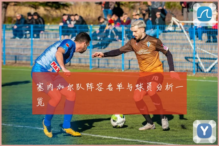 塞内加尔队阵容名单与球员分析一览